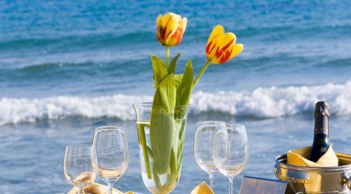 Crociera o tour enogastronomico? Tu sei un tipo da … Crociera o Tour enogastronomico? scopri che tipo sei