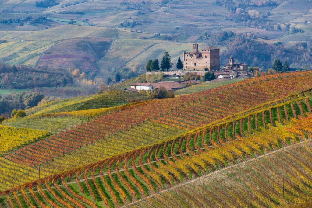 Paesaggio vitivinicolo del Piemonte Patrimonio Unesco da gustare