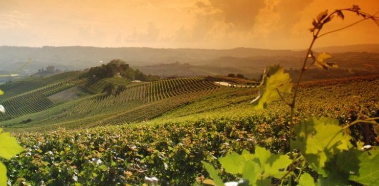 Paesaggio vitivinicolo del Piemonte - Patrimonio Unesco da gustare