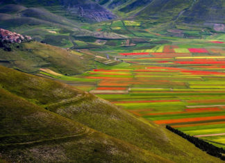 La Valle di Castelluccio di Norcia