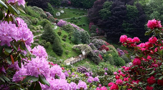 giardini e parchi d'italia