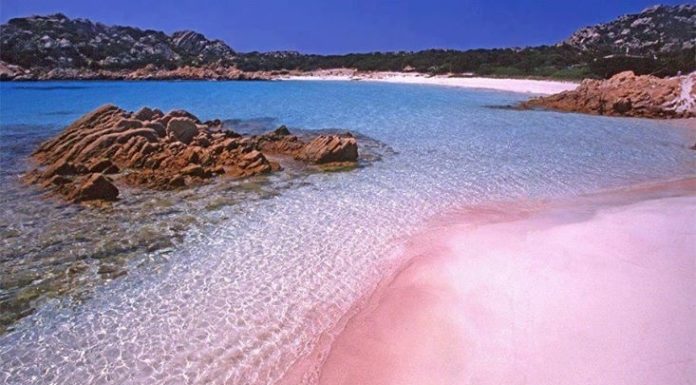 La Spiaggia Rosa di Budelli ed il segreto del suo colore spiaggia rosa