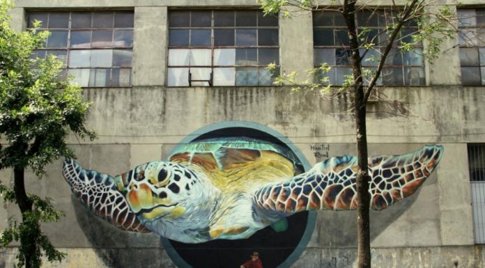 street art Buenos aires