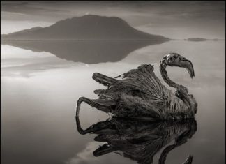lago natron