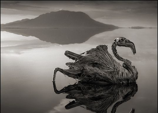 lago natron