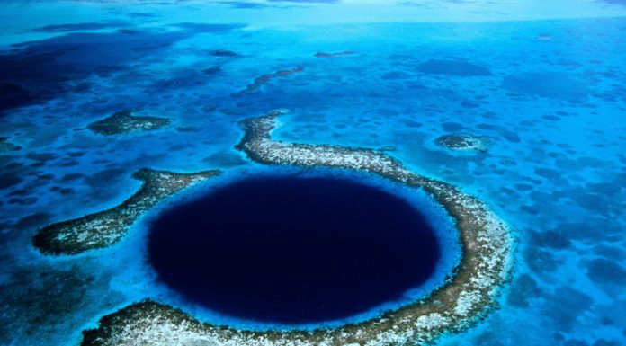 diving nel Great Blue Hole