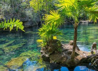cenotes
