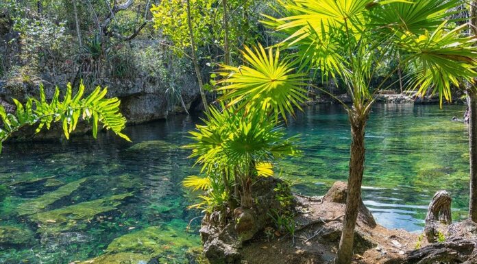 cenotes