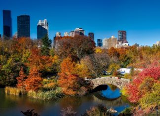 foliage d'autunno in città