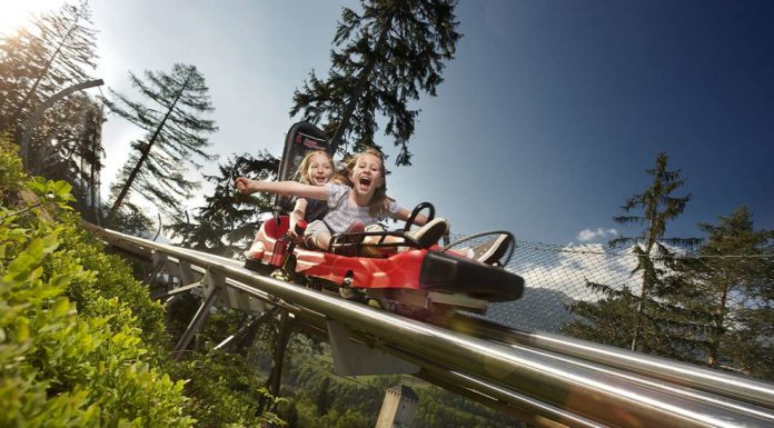 alpine coaster