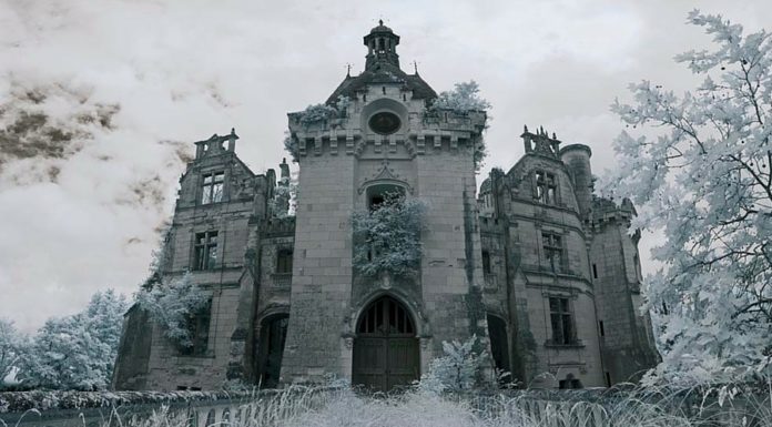 Il regno perduto: il castello di la Mothe-Chandeniers il castello di la Mothe-Chandeniers