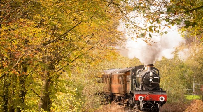 treno del foliage