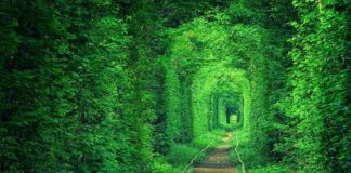 tunnel dell'amore