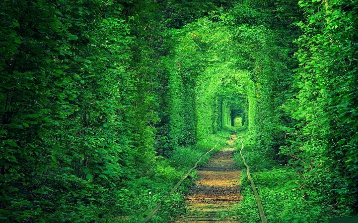 tunnel dell'amore