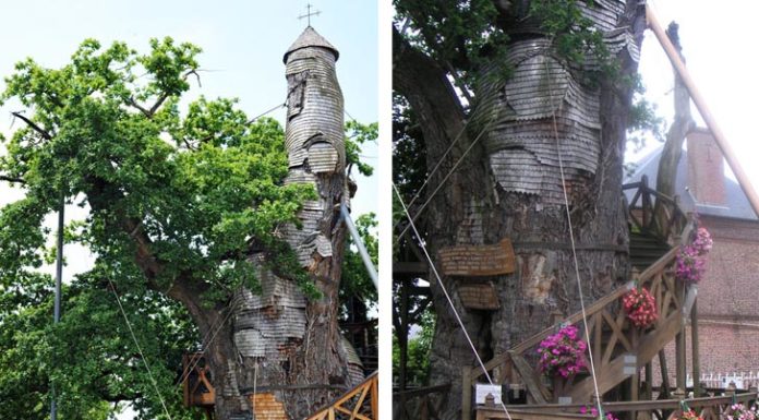 La Chene Chapelle Treehouse