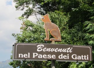 Brolo Paese dei Gatti