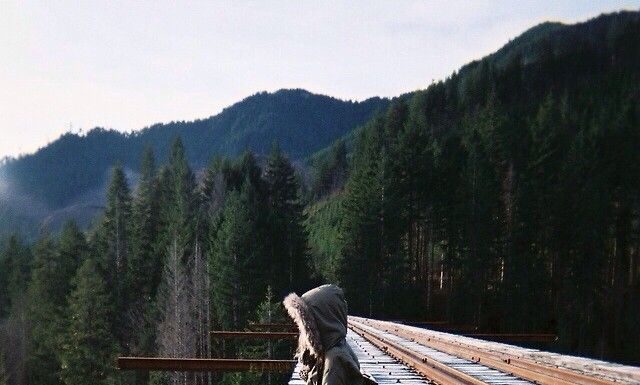 Vance Creek Bridge