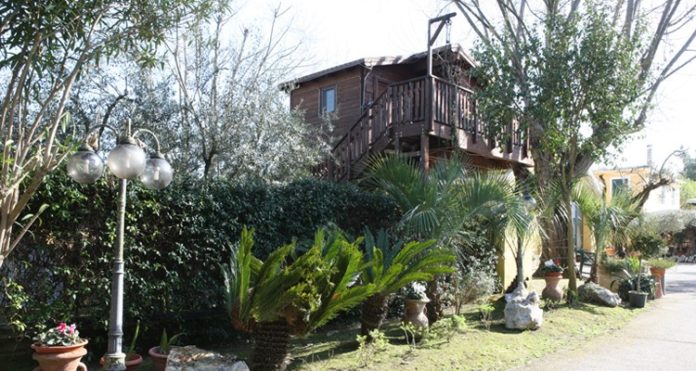 Casa sull'albero