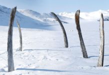 Whale Bone Alley