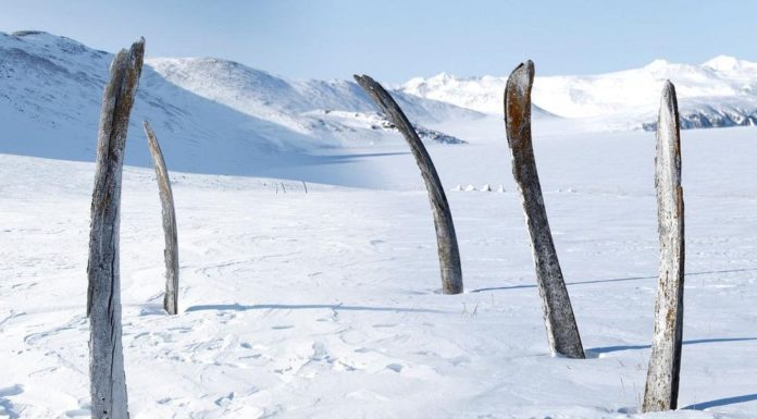 Whale Bone Alley