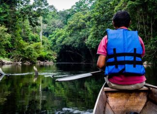 taman negara