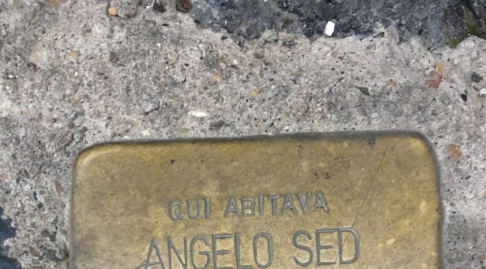 Angelo Sed
