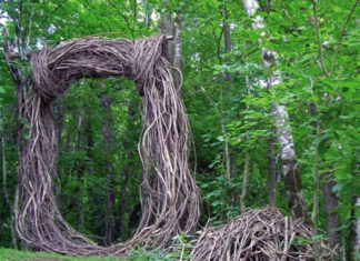 opera bosco