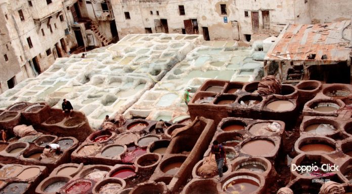Le Concerie di Fès che dipingono pecore e altre pelli Le concerie di Fes