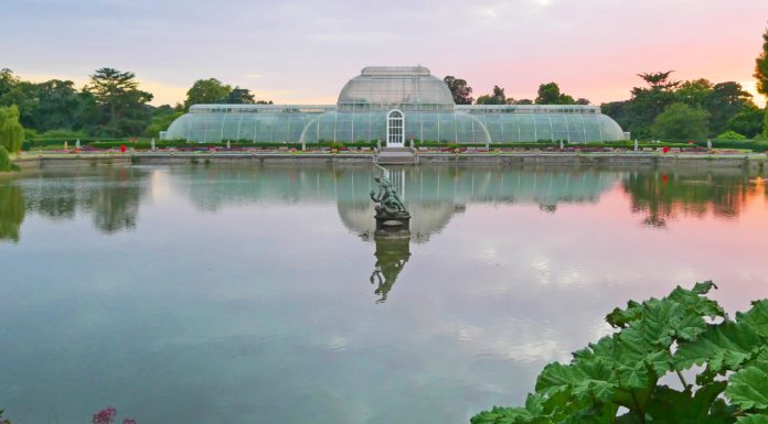 I Kew Gardens: scopri il giardino delle meraviglie di Londra kew gardens