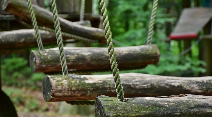 Attività all’aria aperta e giornate divertenti: sai cos’è un parco avventura? Parco avventura