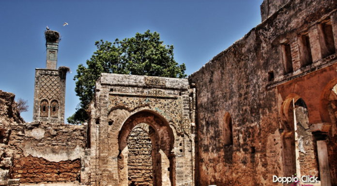 Chellah, una sorvegliata speciale tra le tante Cicogne Chellah