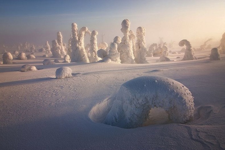 Le Sentinelle dell'Artico