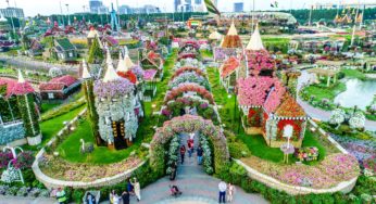 Dubai Miracle Garden: il più grande giardino di fiori del mondo si trova nel deserto