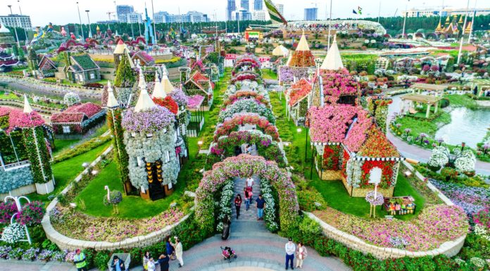 Dubai Miracle Garden