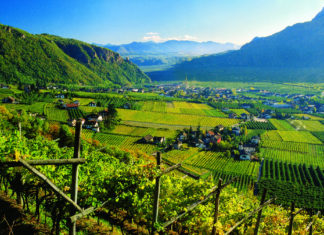 Strada del vino