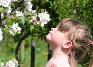 trentino ad occhi chiusi