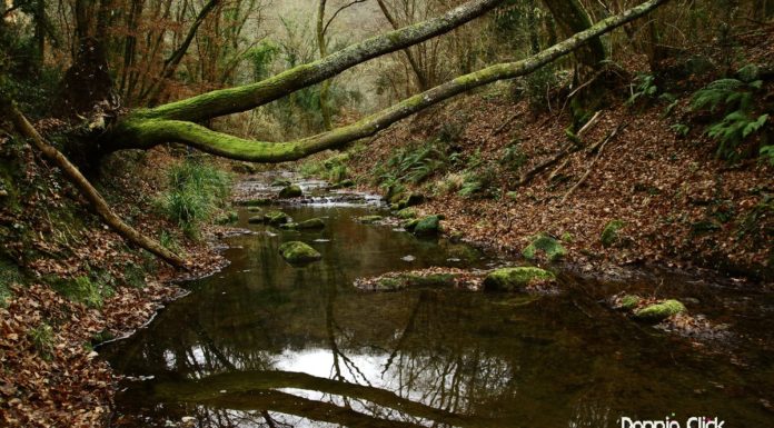 La cascata dell’Inferno fuori Roma, uno scrigno fatato Cascata dell'Inferno Formello 2