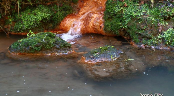 Cuore solitario a Veio