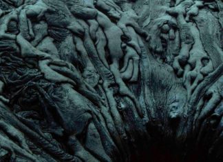 Uno dei luoghi più suggestivi, sembra un’opera d’arte ma è solo la bocca di un vulcano: Kamokuna Kamokuna
