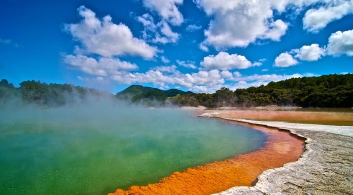 Un bagno nel lusso o in una piscina mortale? Ecco a voi la Champagne pool! Champagne pool