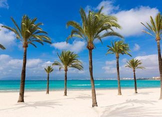 el arenal Maiorca