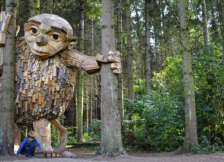 giganti di legno