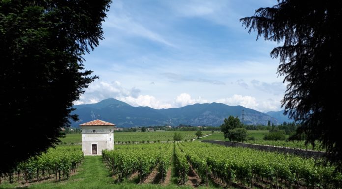 franciacorta
