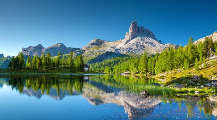lago federa
