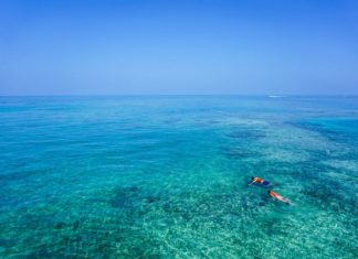 barriere coralline più belle secondo il wwf