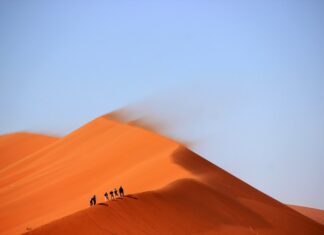 deserti più grandi del mondo