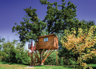casa sull'albero